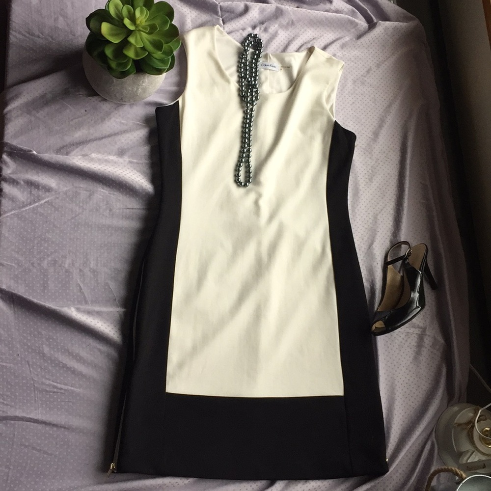 CK Black & White Zipper Dress